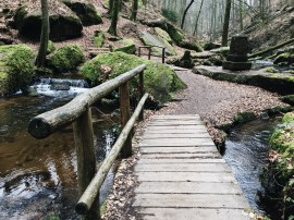 Processed with VSCO with a6 preset