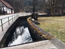 Processed with VSCO with a6 preset