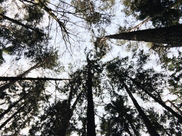 Processed with VSCO with a6 preset