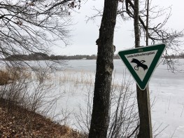 Processed with VSCO with a6 preset