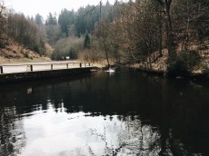 Processed with VSCO with a6 preset