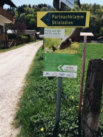 Processed with VSCO with a6 preset