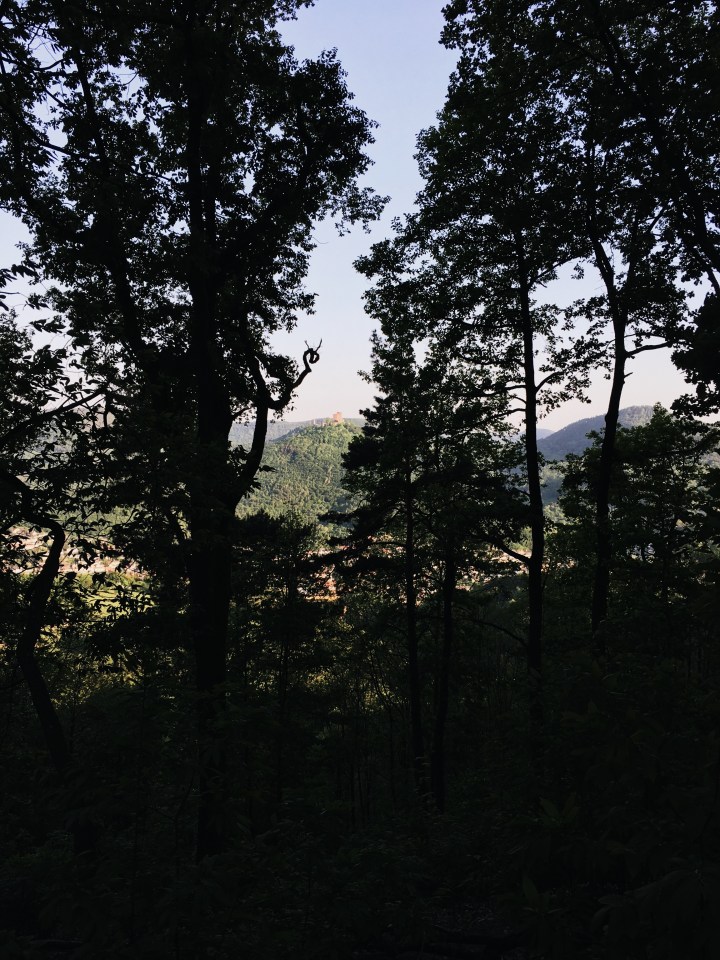 Processed with VSCO with a6 preset