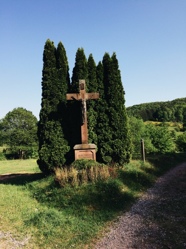 Processed with VSCO with a6 preset