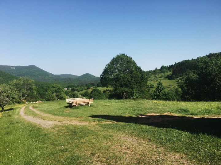 Processed with VSCO with a6 preset