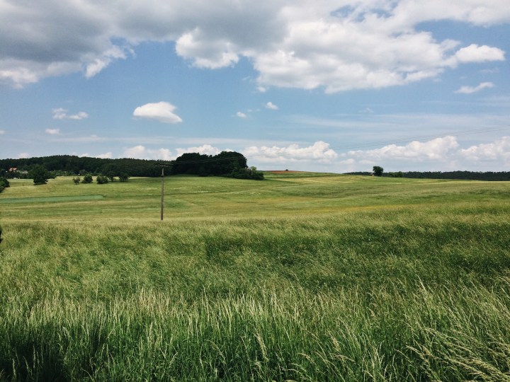 Processed with VSCO with a6 preset