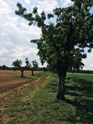 Processed with VSCO with a6 preset