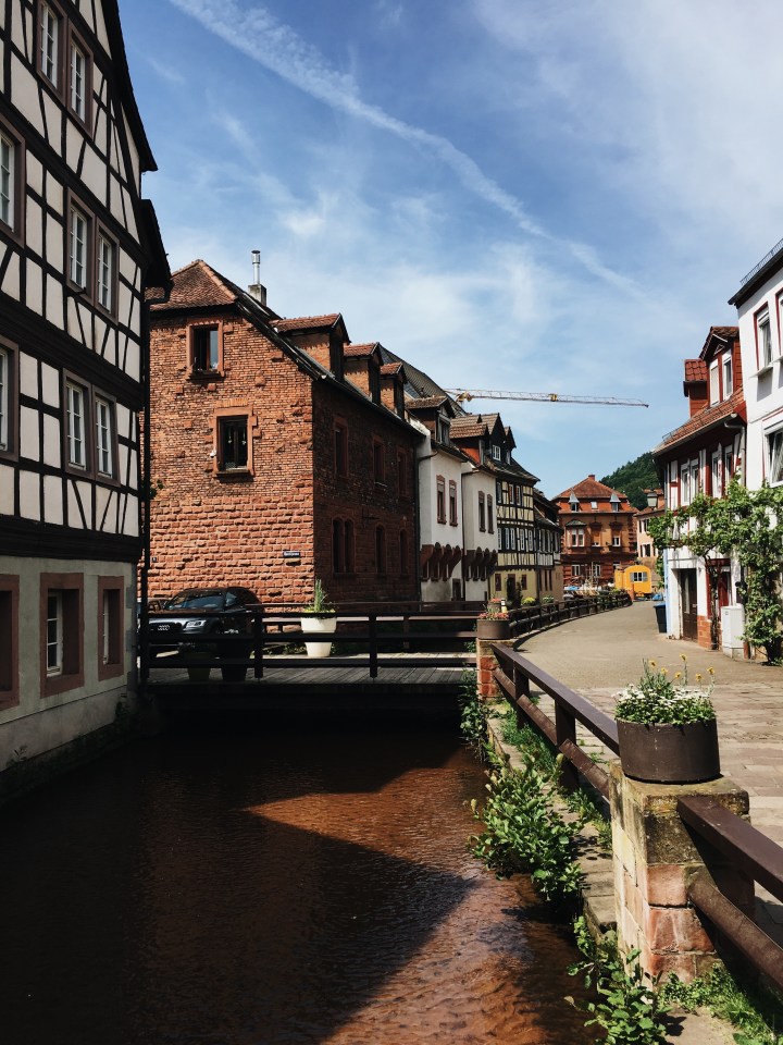 Processed with VSCO with a6 preset