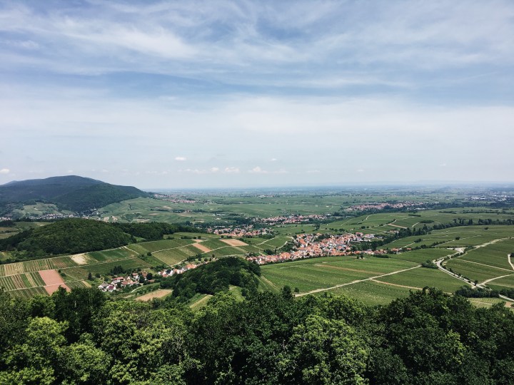 Processed with VSCO with a6 preset