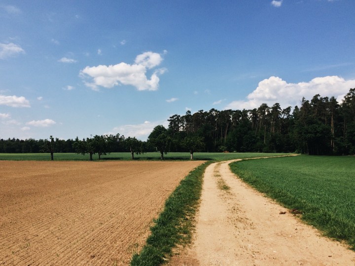 Processed with VSCO with a6 preset