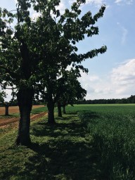 Processed with VSCO with a6 preset