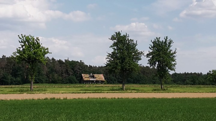 Processed with VSCO with a6 preset