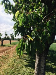 Processed with VSCO with a6 preset