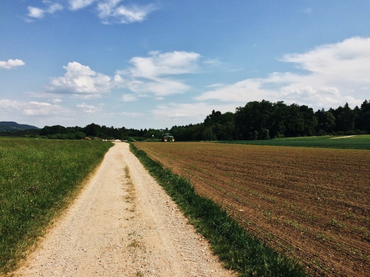 Processed with VSCO with a6 preset