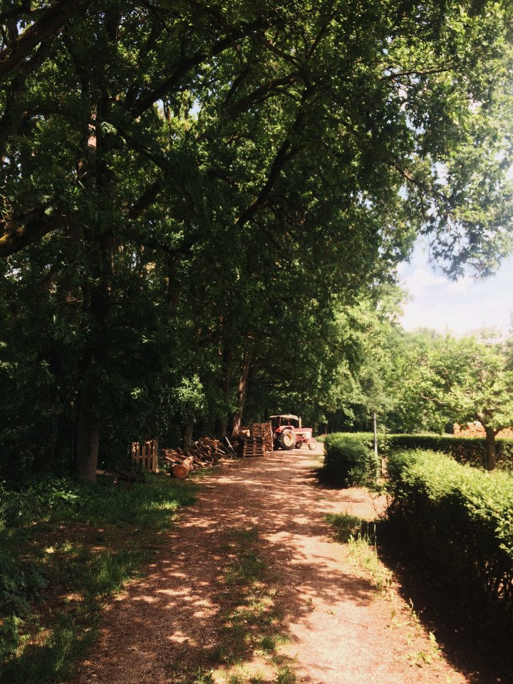 Processed with VSCO with a6 preset