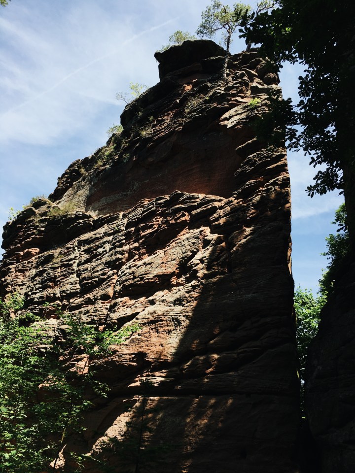 Processed with VSCO with a6 preset