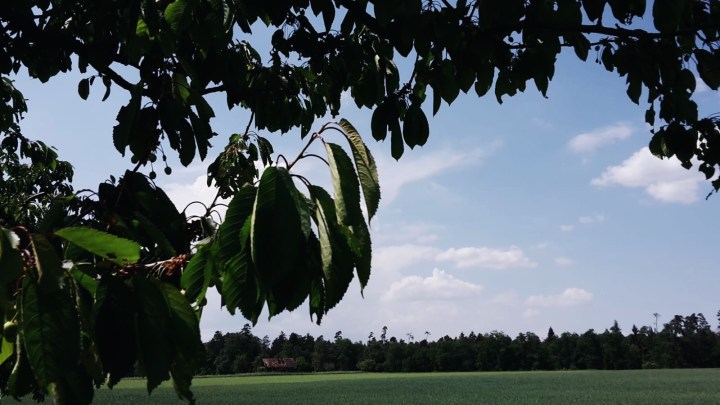 Processed with VSCO with a6 preset