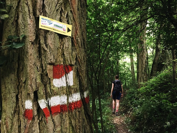 Auf dem Weg zur Schneckennudel