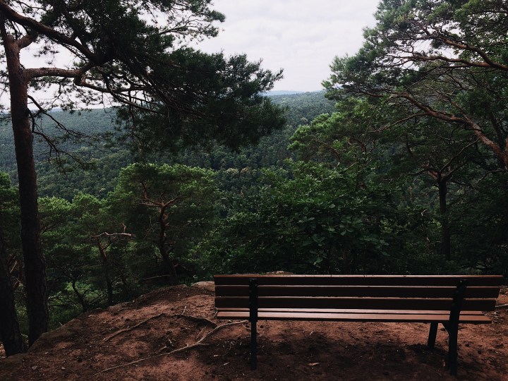 Blick auf den Pfälzer Wald
