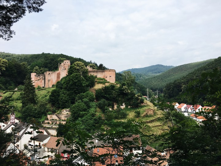 Blick auf die Hardenburg