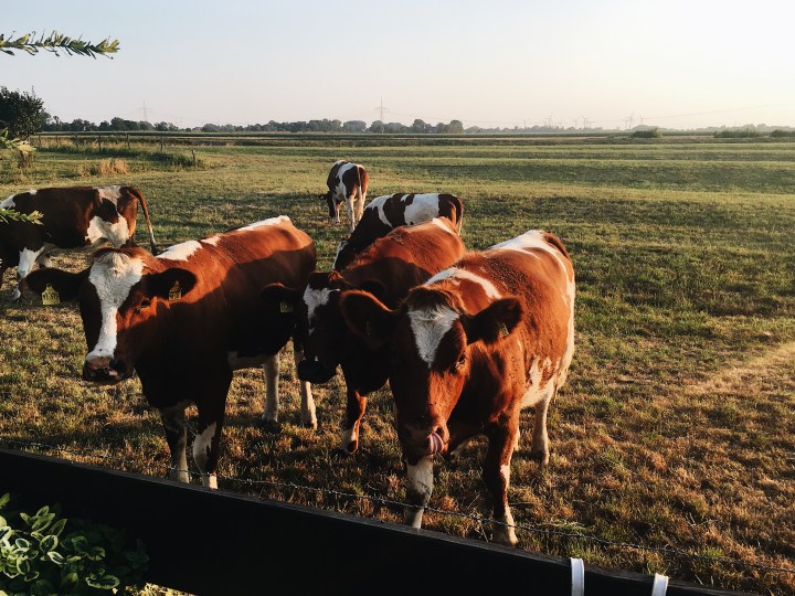 Processed with VSCO with a6 preset