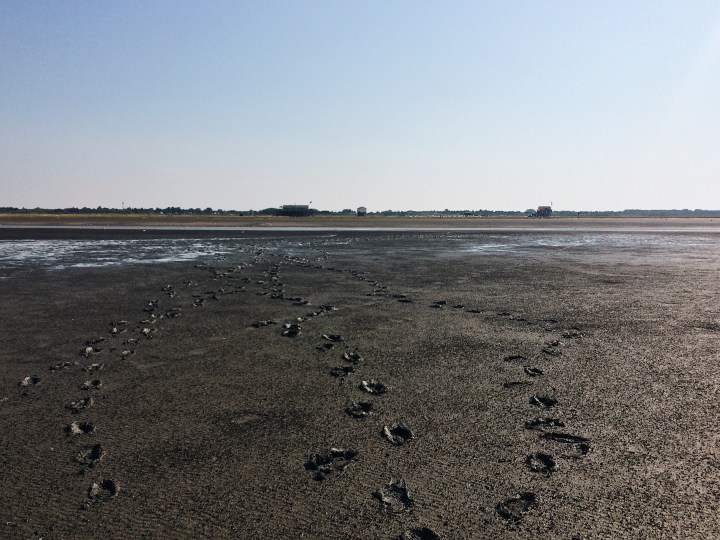 Processed with VSCO with a6 preset