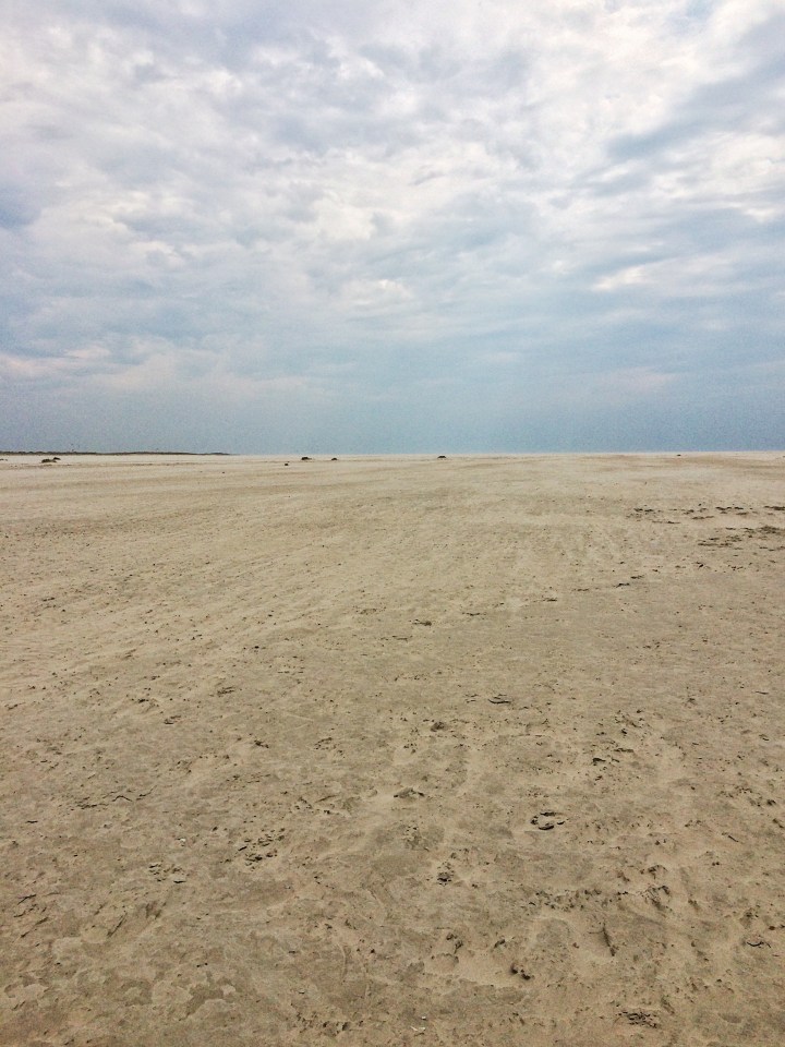 Processed with VSCO with a6 preset