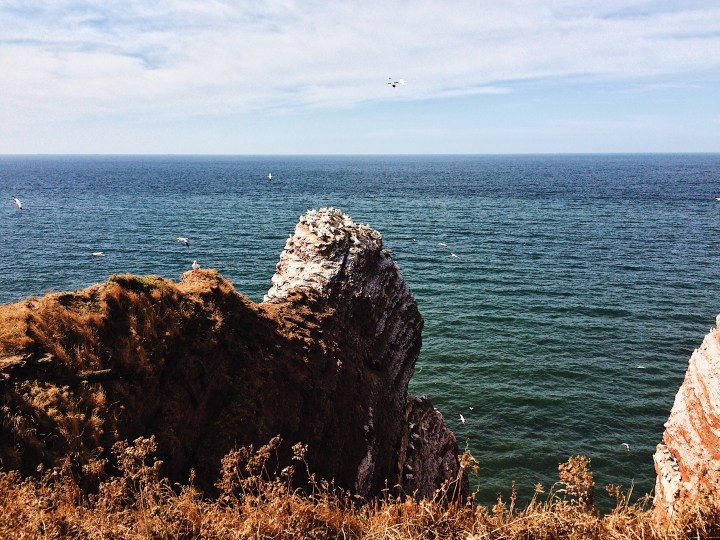 Processed with VSCO with a6 preset