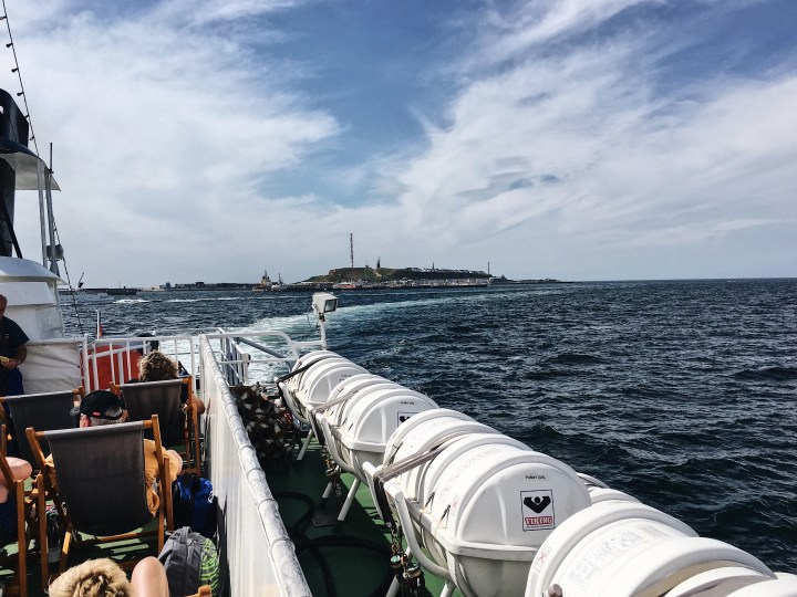 Processed with VSCO with a6 preset