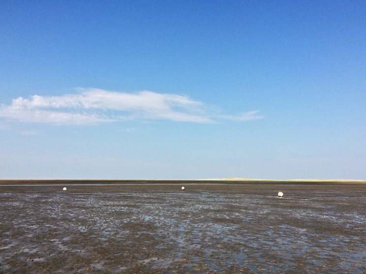 Processed with VSCO with a6 preset