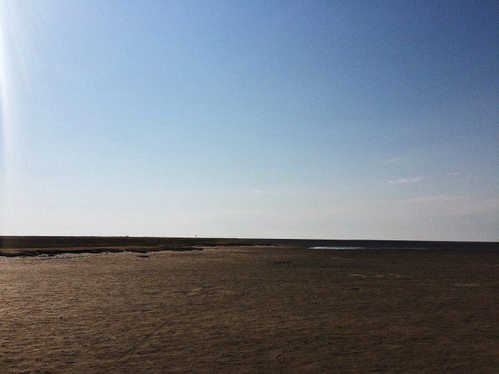 Processed with VSCO with a6 preset