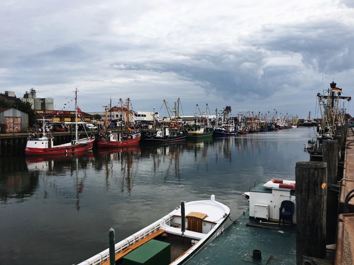 Processed with VSCO with a6 preset